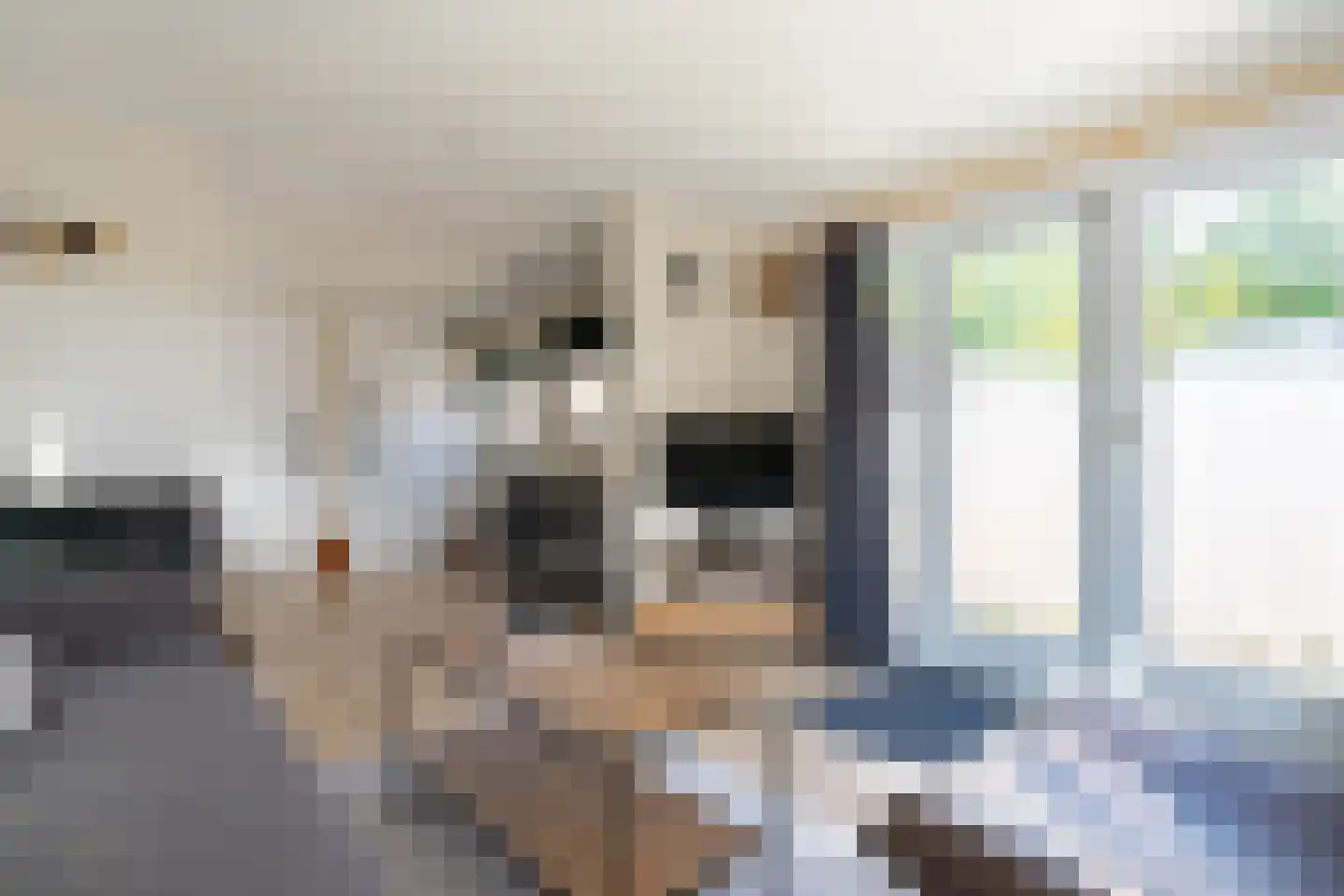 Krachtighuizerkern 22 50 Putten thumbnail 11