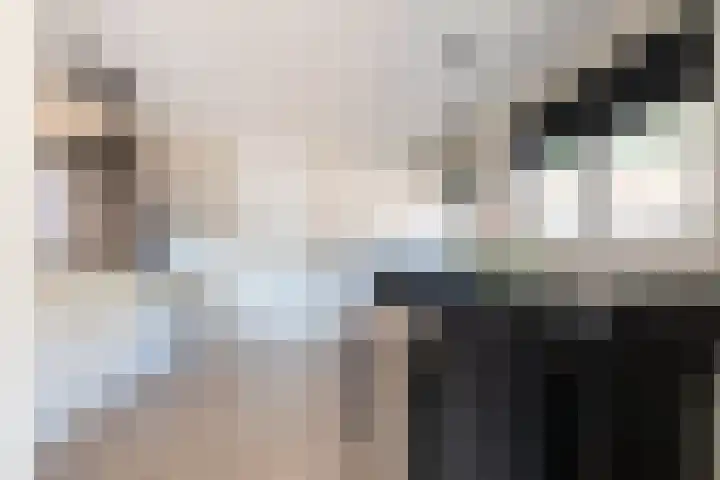 Krachtighuizerkern 22 50 Putten thumbnail 12