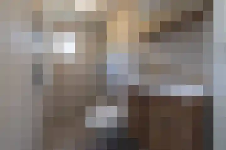Krachtighuizerkern 22 50 Putten thumbnail 13