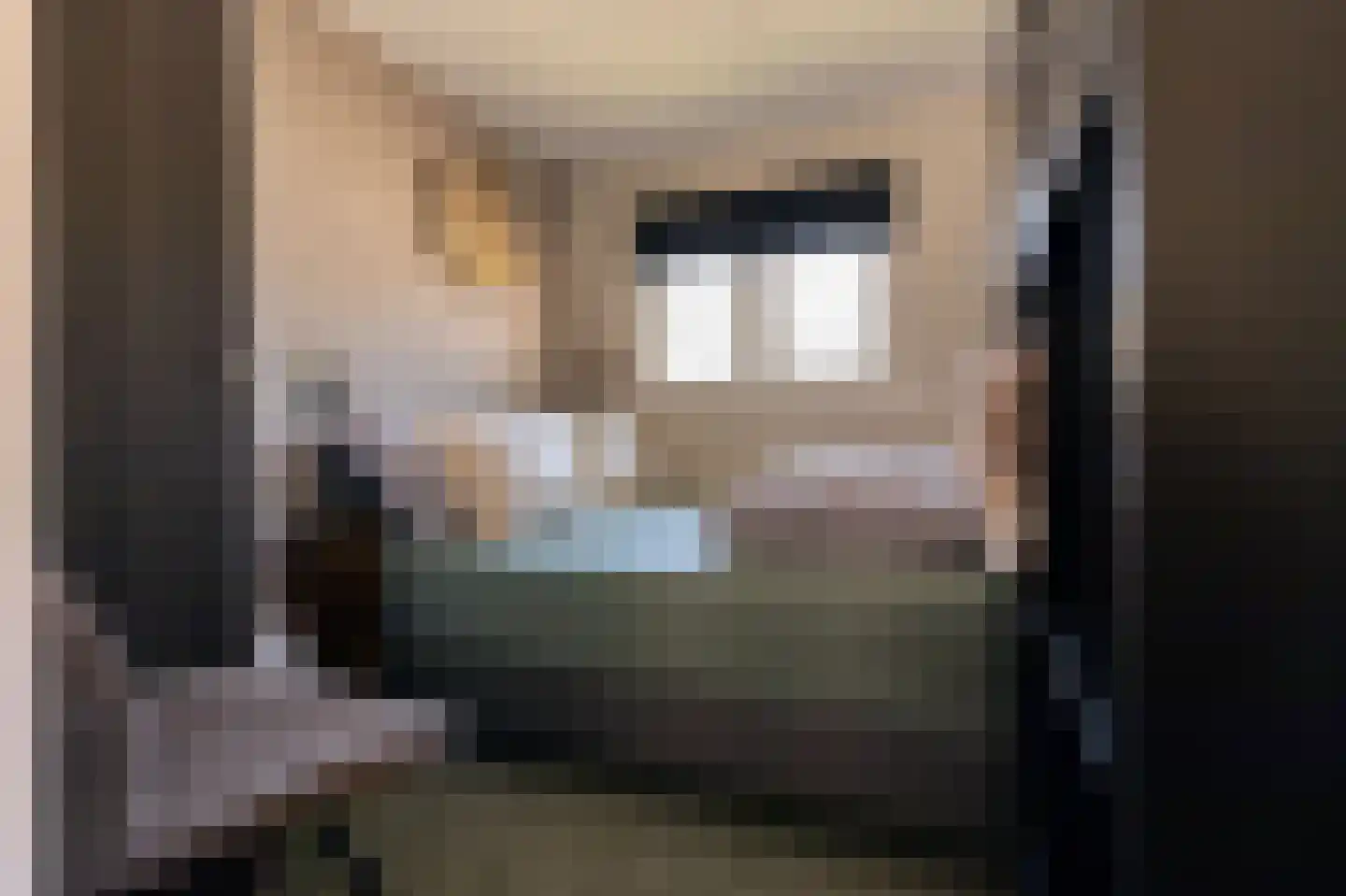 Krachtighuizerkern 22 50 Putten thumbnail 14