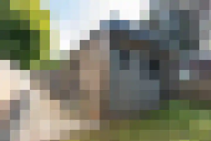 Krachtighuizerkern 22 50 Putten thumbnail 15