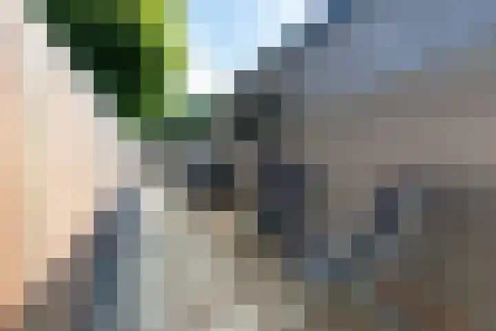 Krachtighuizerkern 22 50 Putten thumbnail 16
