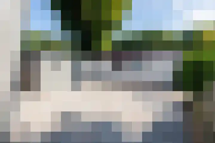 Krachtighuizerkern 22 50 Putten thumbnail 18