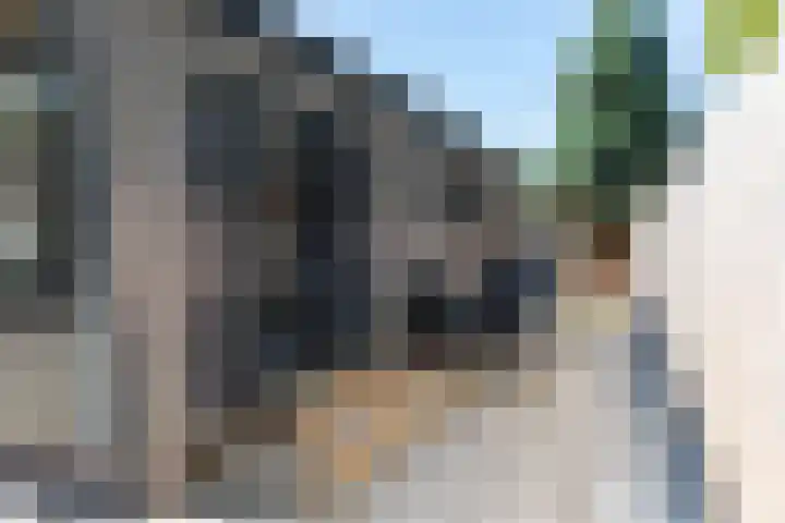 Krachtighuizerkern 22 50 Putten thumbnail 4