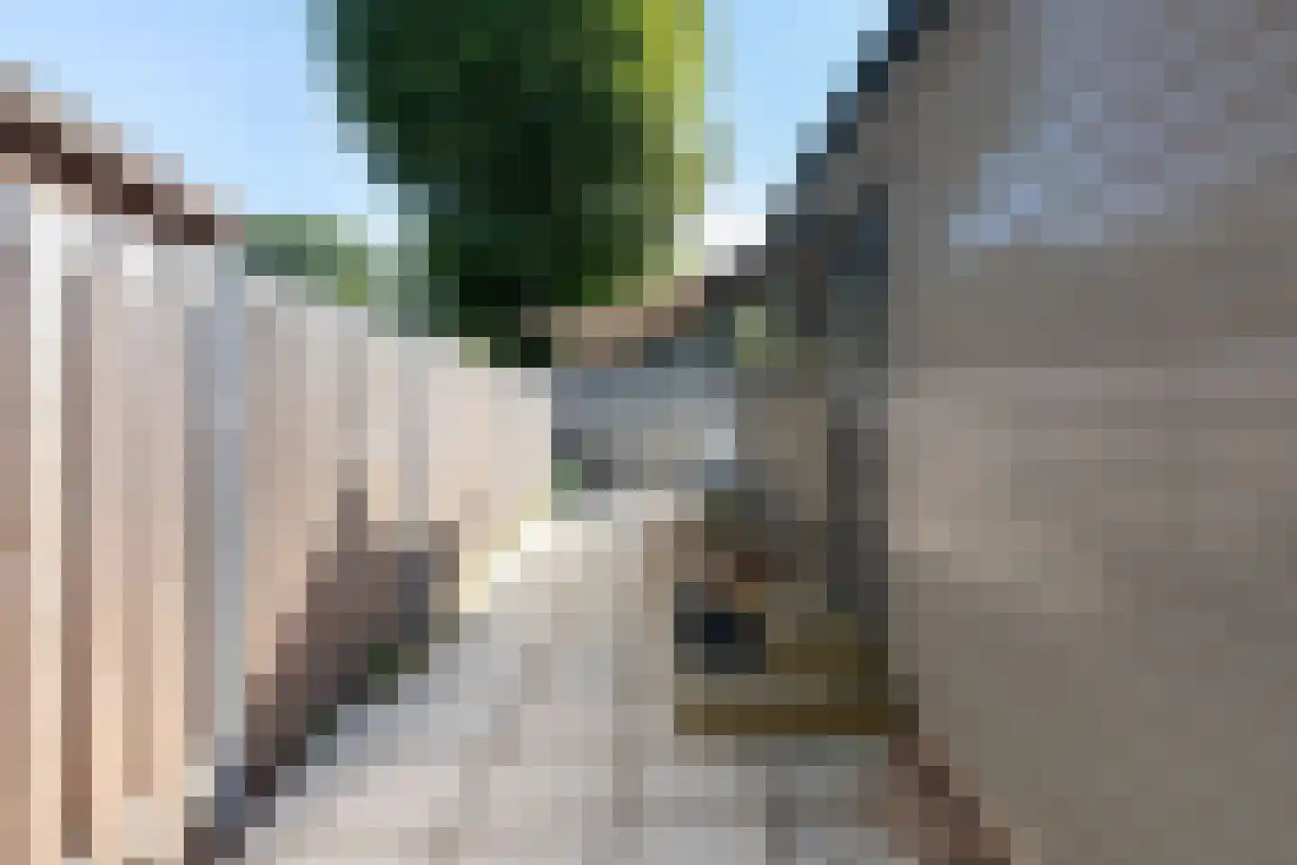 Krachtighuizerkern 22 50 Putten thumbnail 4