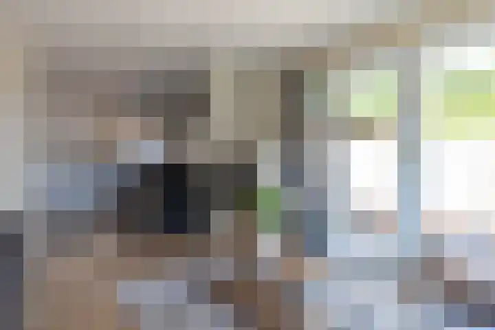 Krachtighuizerkern 22 50 Putten thumbnail 6