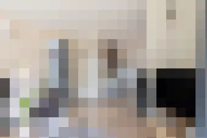 Krachtighuizerkern 22 50 Putten thumbnail 8
