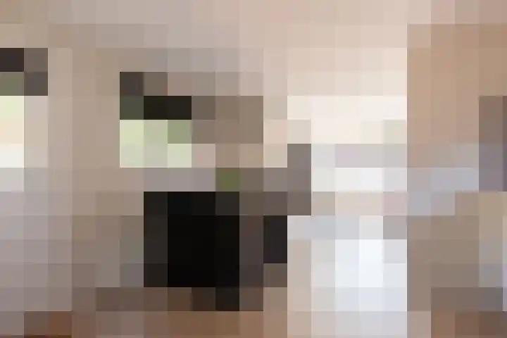 Krachtighuizerkern 22 50 Putten thumbnail 9