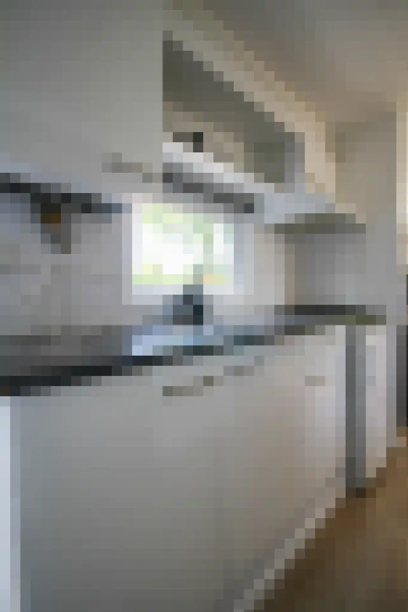 Krachtighuizerkern 22 60 Putten thumbnail 11