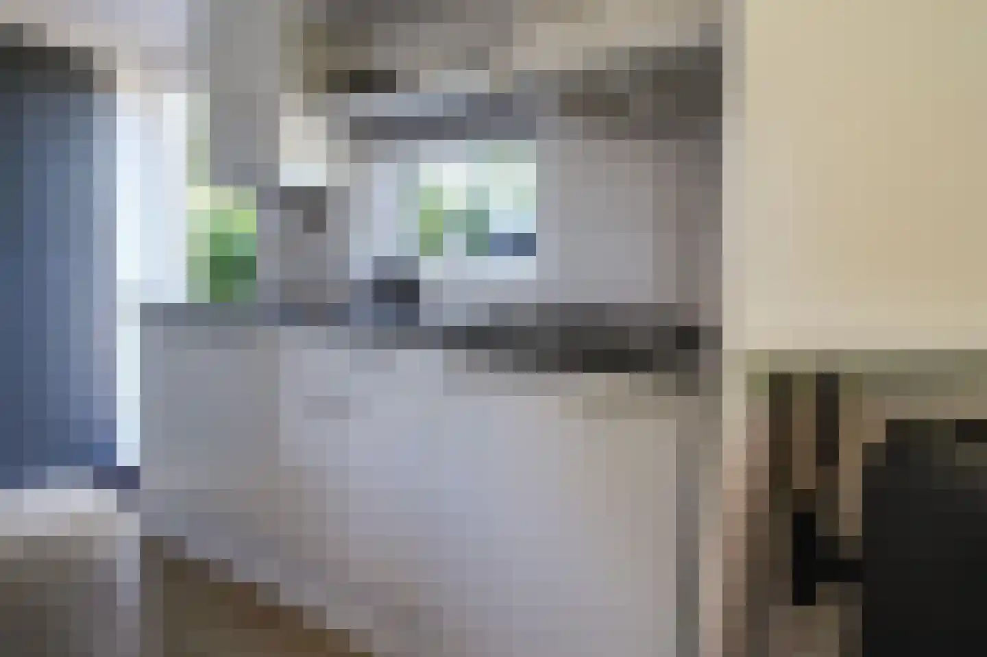 Krachtighuizerkern 22 60 Putten thumbnail 9