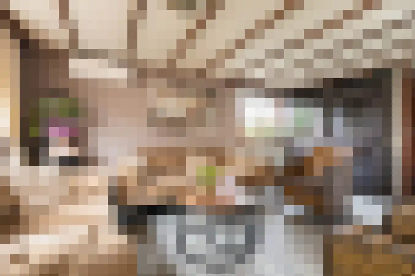 Krachtighuizerkern 22 71 Putten thumbnail 13