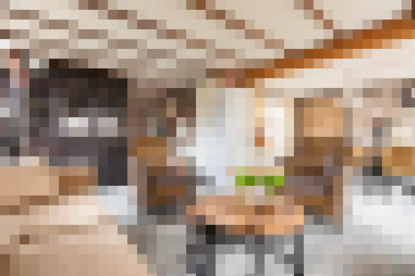 Krachtighuizerkern 22 71 Putten thumbnail 14