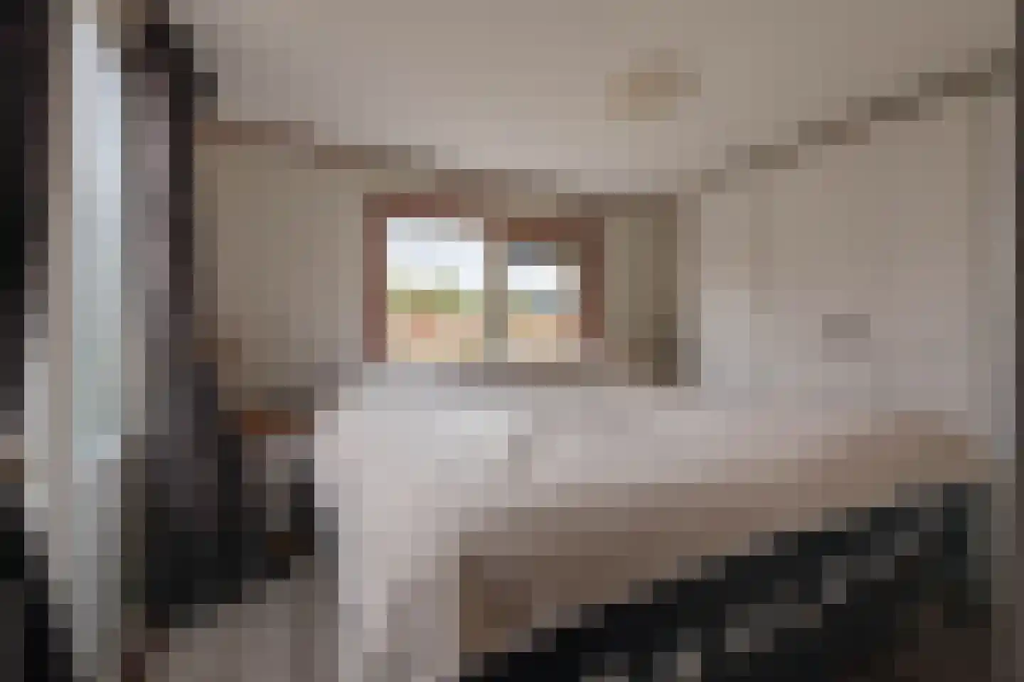 Krachtighuizerkern 22 71 Putten thumbnail 19