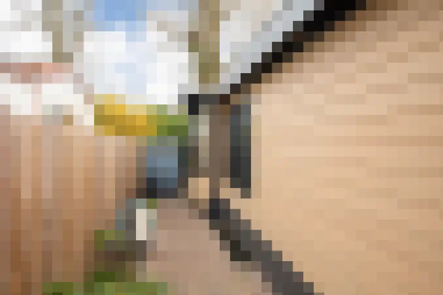 Krachtighuizerkern 22 71 Putten thumbnail 8