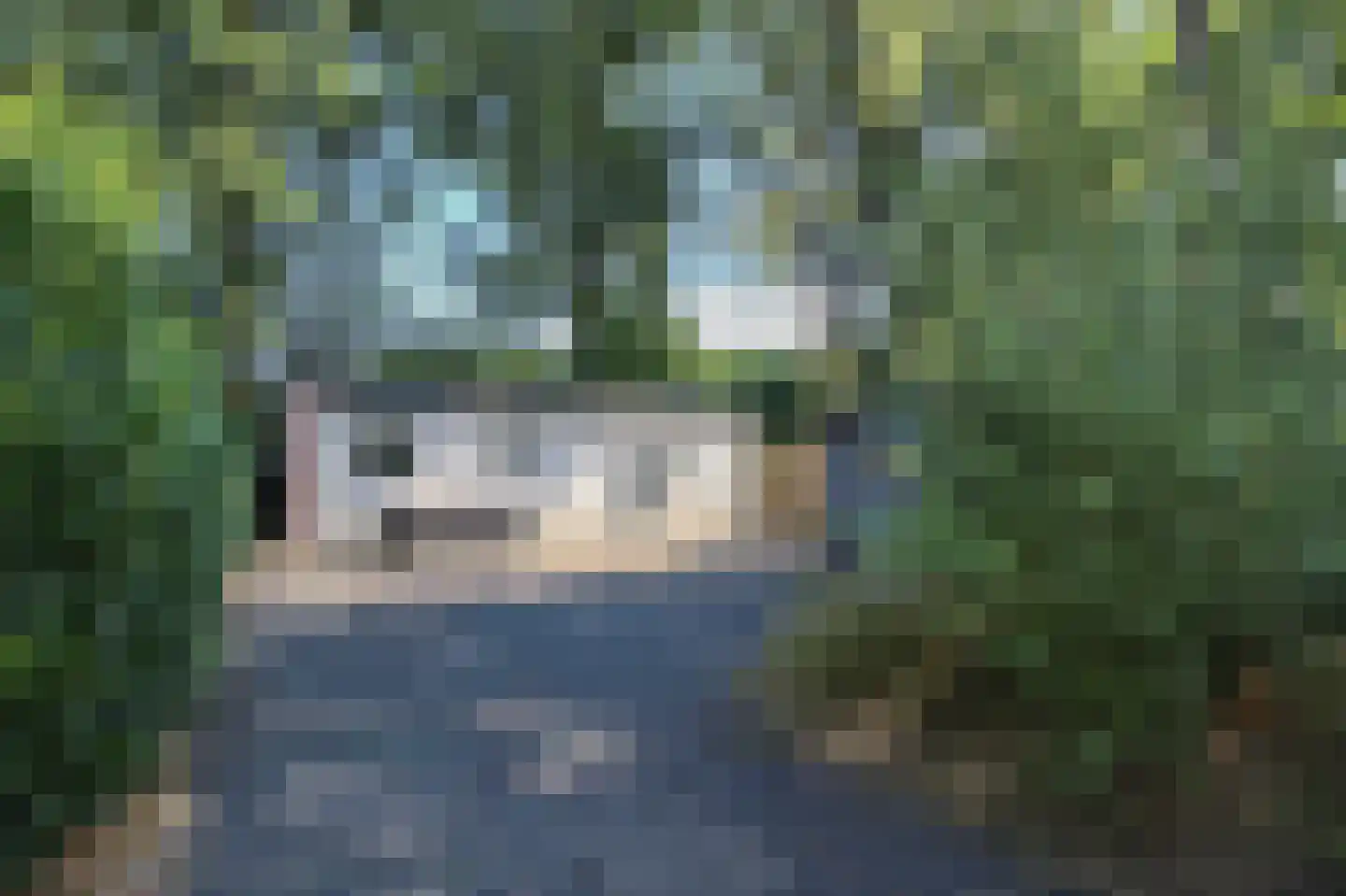 Krachtighuizerkern 22 74 Putten thumbnail 30