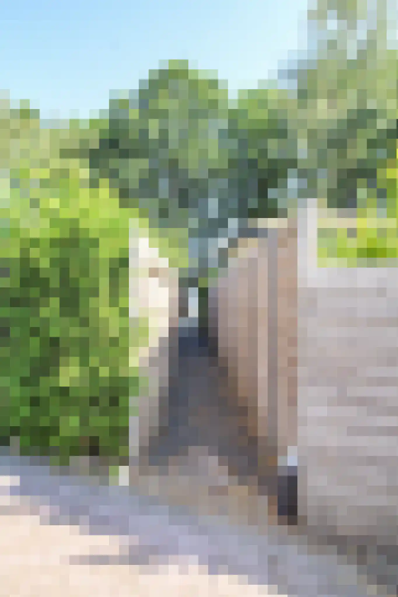 Krachtighuizerkern 22 74 Putten thumbnail 31