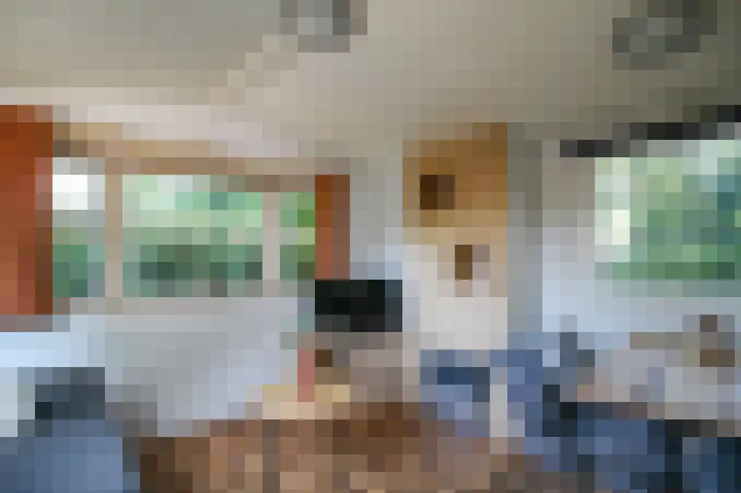Krachtighuizerkern 22 74 Putten thumbnail 5