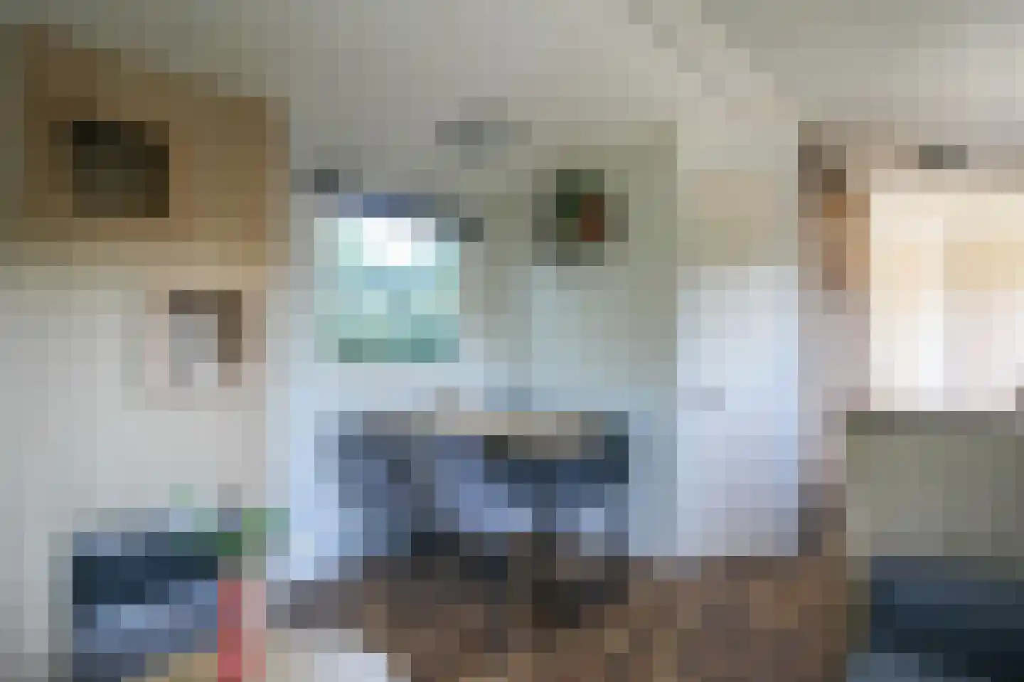 Krachtighuizerkern 22 74 Putten thumbnail 6