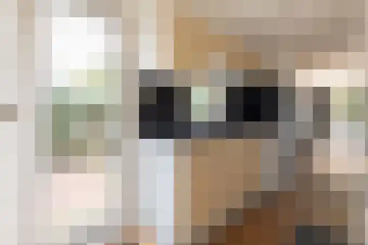 Krachtighuizerkern 22 77 Putten thumbnail 11