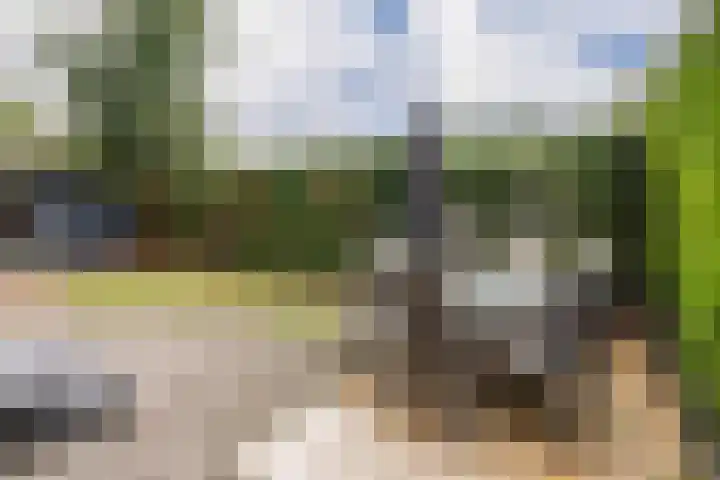 Krachtighuizerkern 22 77 Putten thumbnail 5