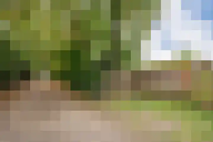 Krachtighuizerkern 22 77 Putten thumbnail 6