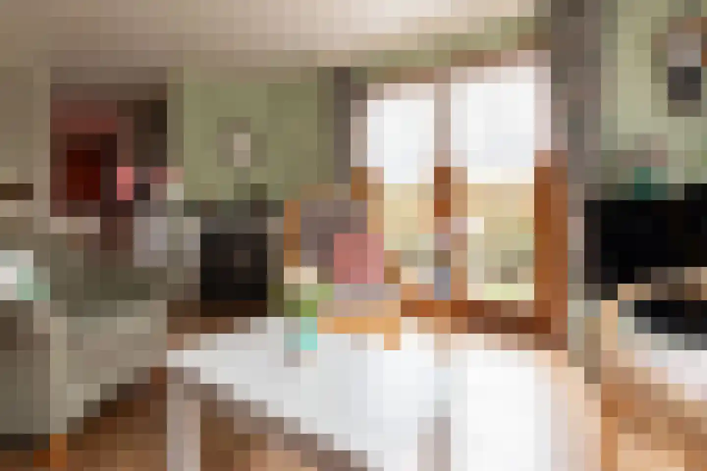 Krachtighuizerkern 22 94 Putten thumbnail 12
