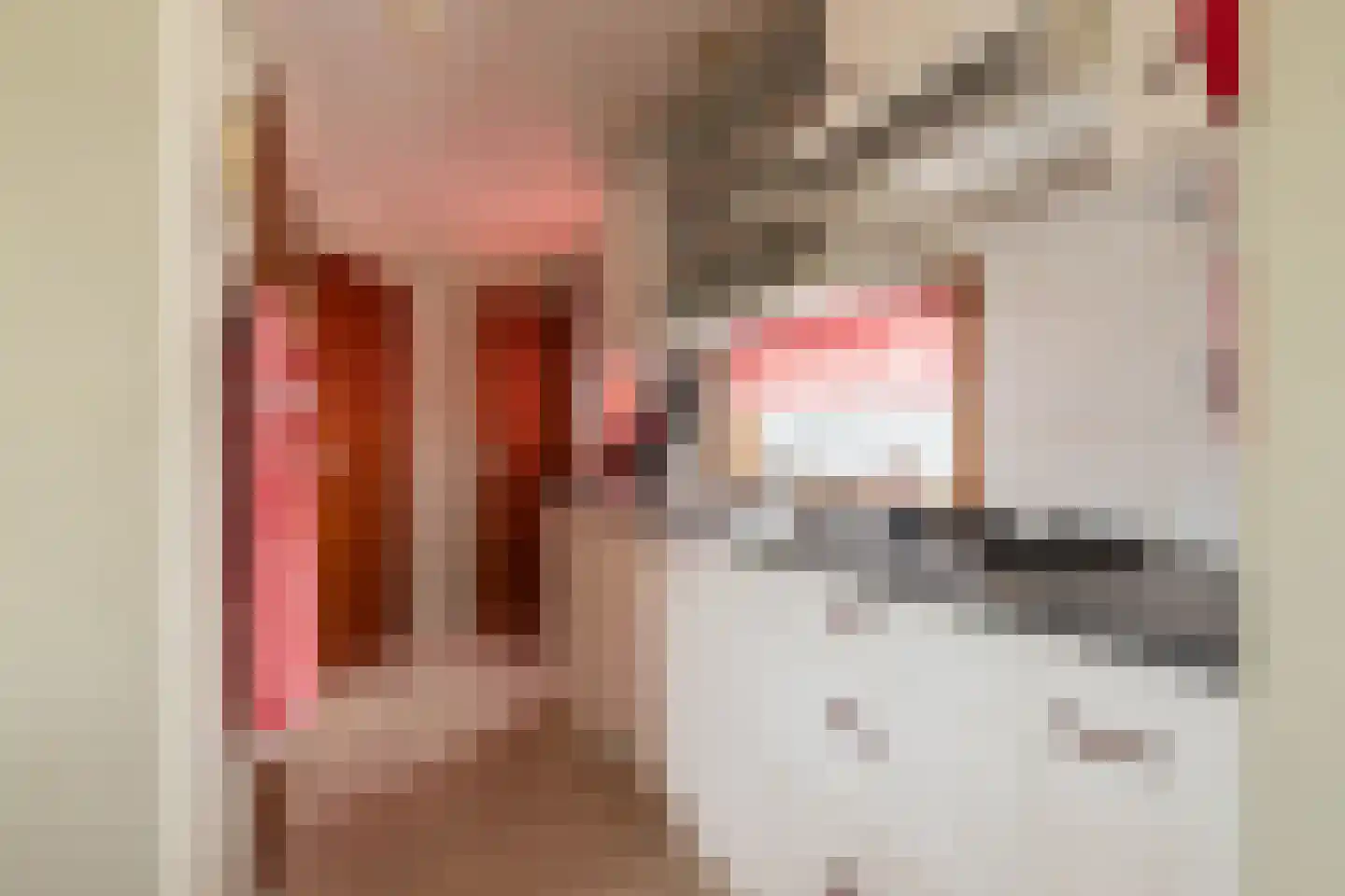 Krachtighuizerkern 22 94 Putten thumbnail 15