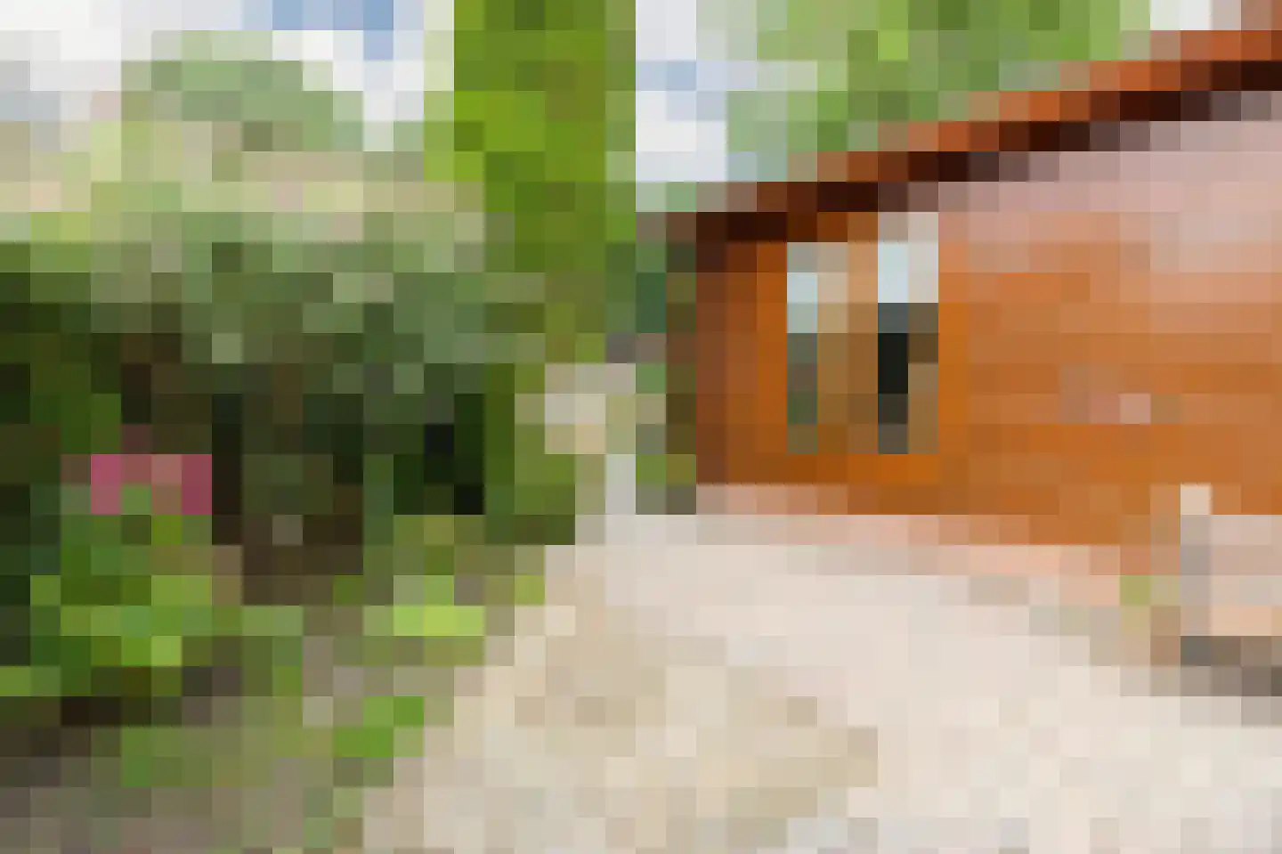 Krachtighuizerkern 22 94 Putten thumbnail 4