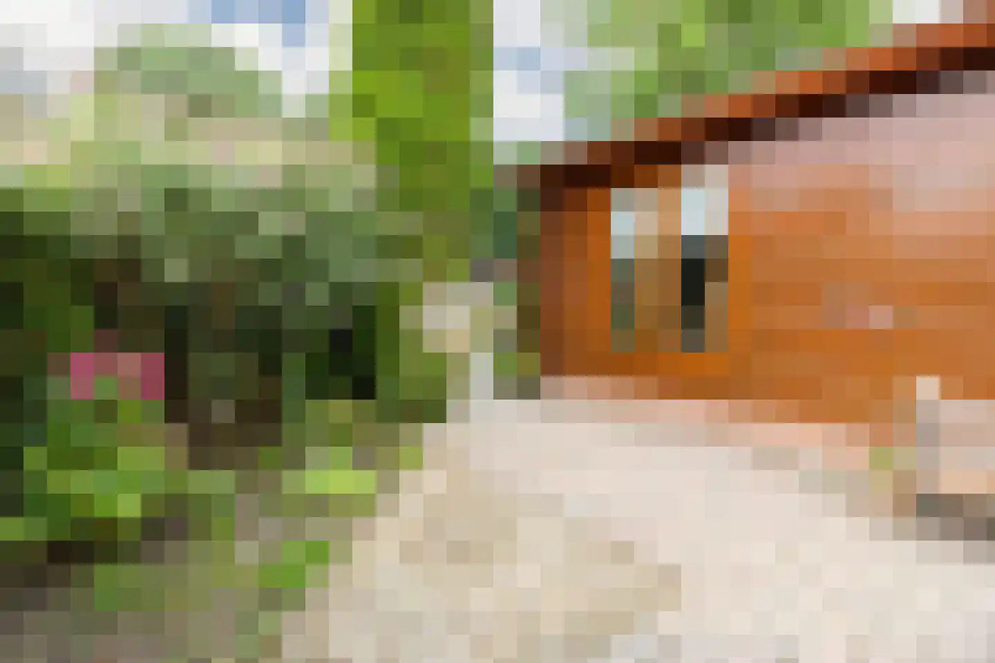 Krachtighuizerkern 22 94 Putten thumbnail 4