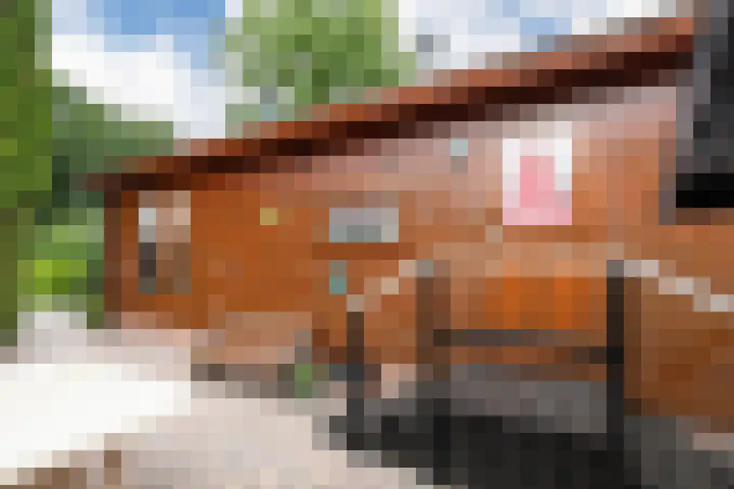 Krachtighuizerkern 22 94 Putten thumbnail 5