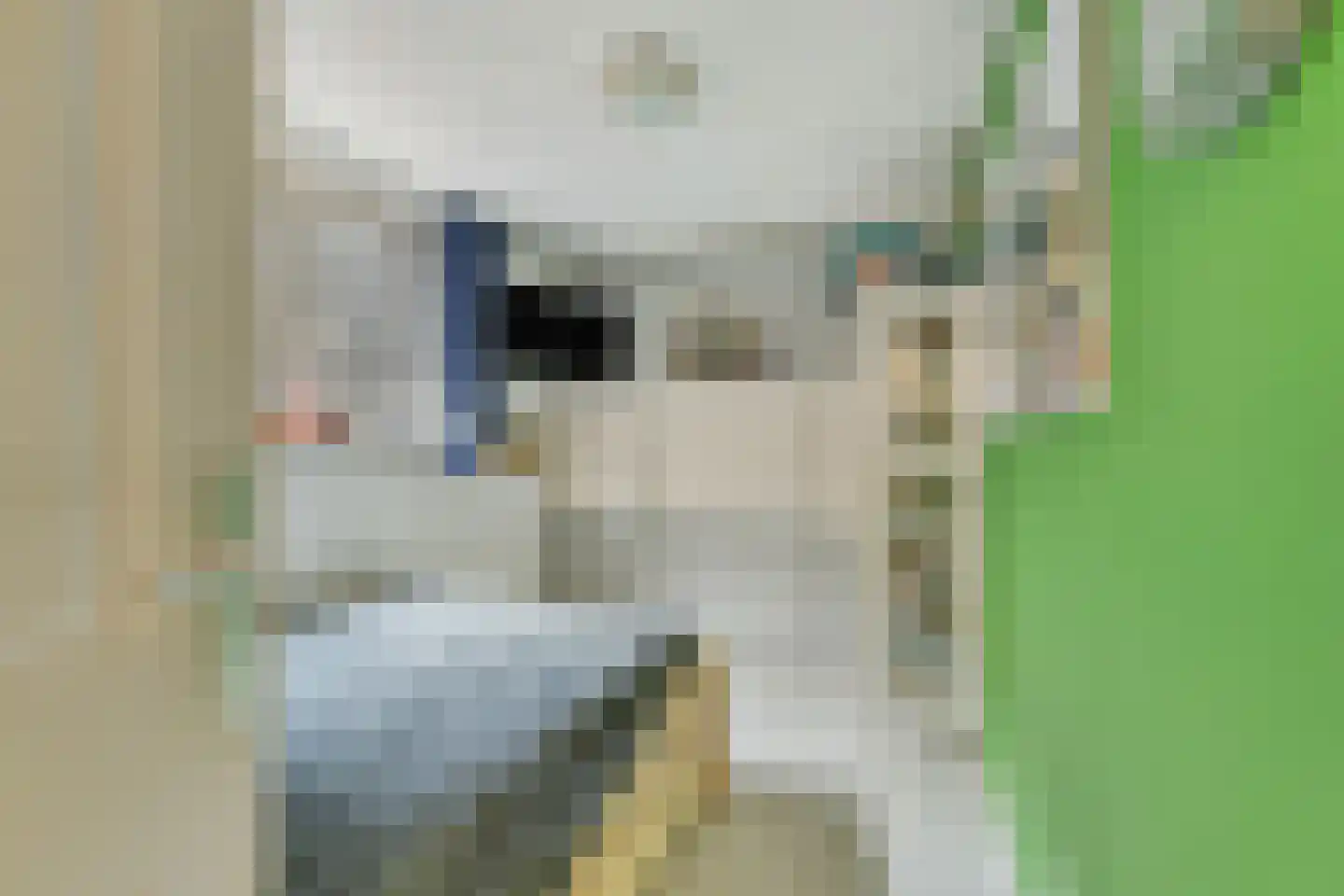 Krachtighuizerweg 21 C Putten thumbnail 15