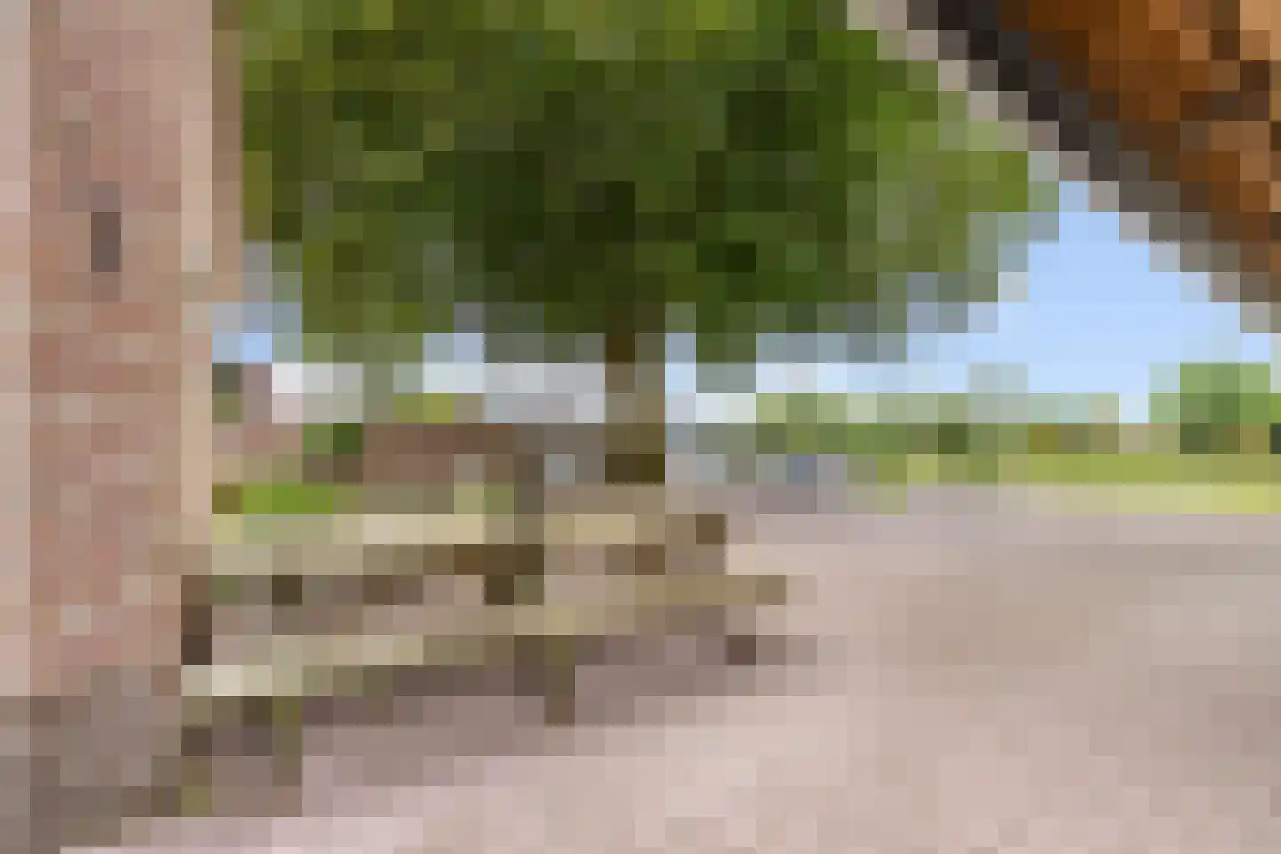 Krachtighuizerweg 21 C Putten thumbnail 21
