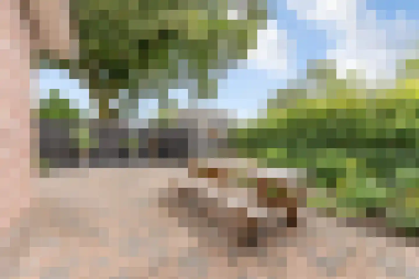 Krachtighuizerweg 21 C Putten thumbnail 23