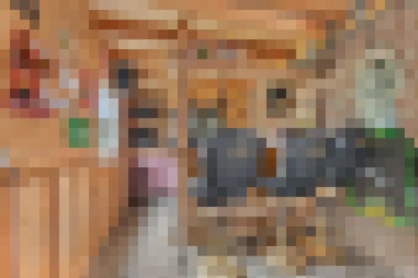 Krachtighuizerweg 21 C Putten thumbnail 26