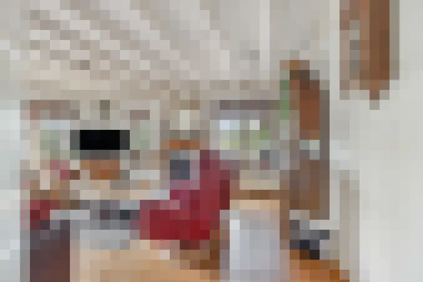 Krachtighuizerweg 21 C Putten thumbnail 4