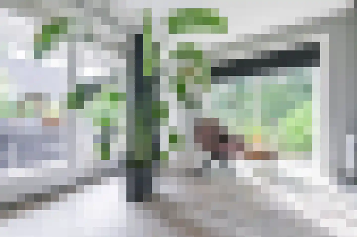 Krachtighuizerweg 23 Putten thumbnail 10