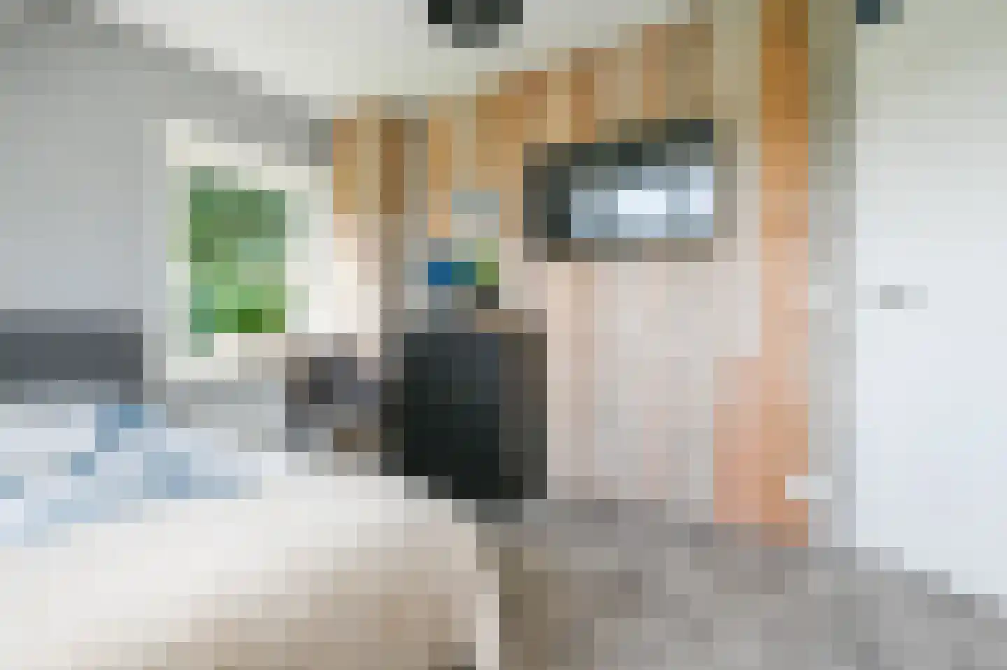 Krachtighuizerweg 23 Putten thumbnail 34
