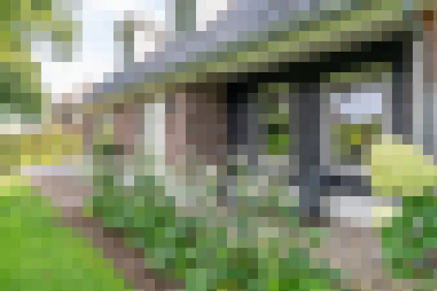 Krachtighuizerweg 23 Putten thumbnail 6