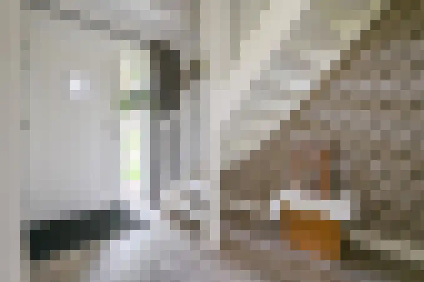 Krachtighuizerweg 23 Putten thumbnail 7