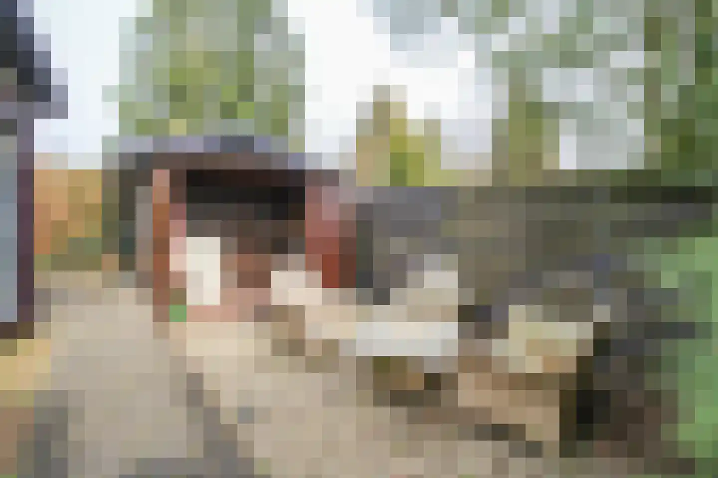 Krachtighuizerweg 27 A 20 Putten thumbnail 21