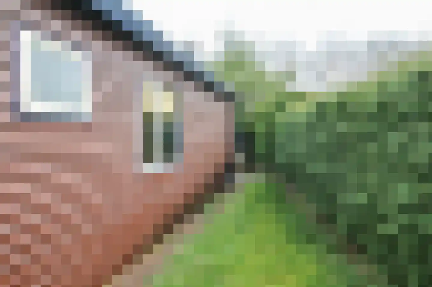 Krachtighuizerweg 27 A 20 Putten thumbnail 27