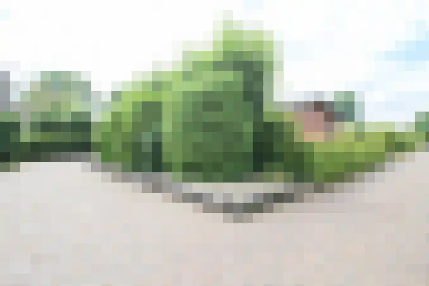 Krachtighuizerweg 28 A11 Putten thumbnail 32