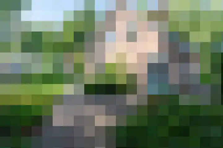 Krachtighuizerweg 29 D Putten thumbnail 49