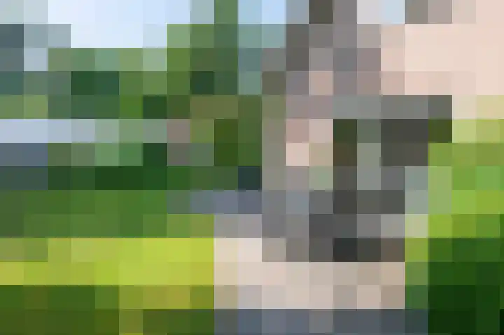 Krachtighuizerweg 29 D Putten thumbnail 52