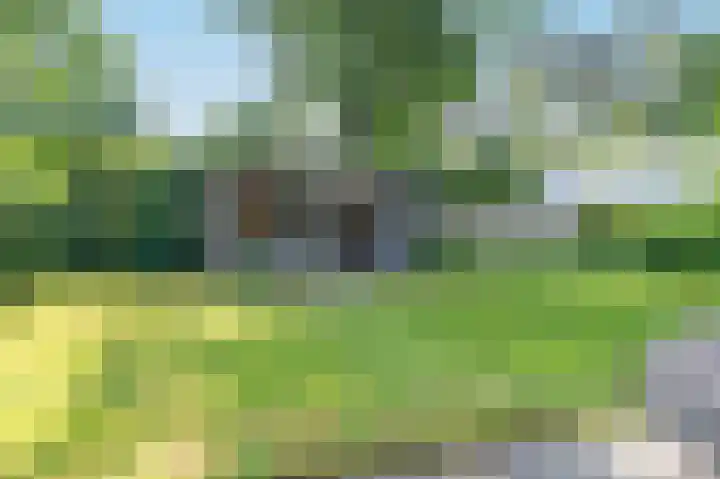 Krachtighuizerweg 29 D Putten thumbnail 54