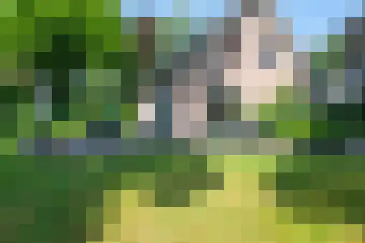Krachtighuizerweg 29 D Putten thumbnail 55