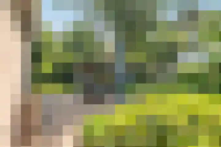 Krachtighuizerweg 29 D Putten thumbnail 60