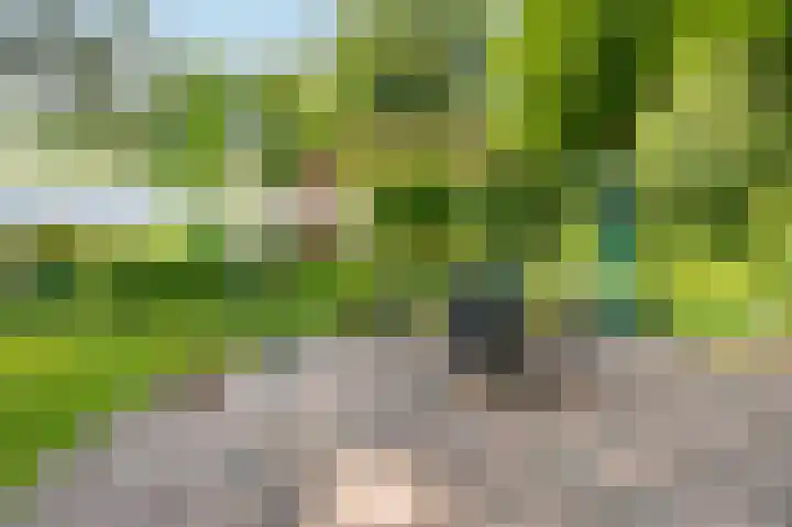 Krachtighuizerweg 29 D Putten thumbnail 61