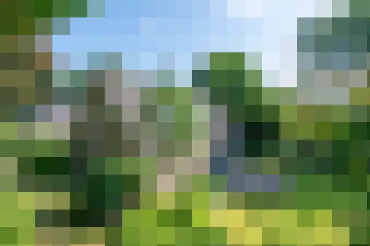 Krachtighuizerweg 29 D Putten thumbnail 64