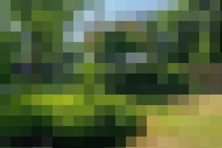 Krachtighuizerweg 29 D Putten thumbnail 65